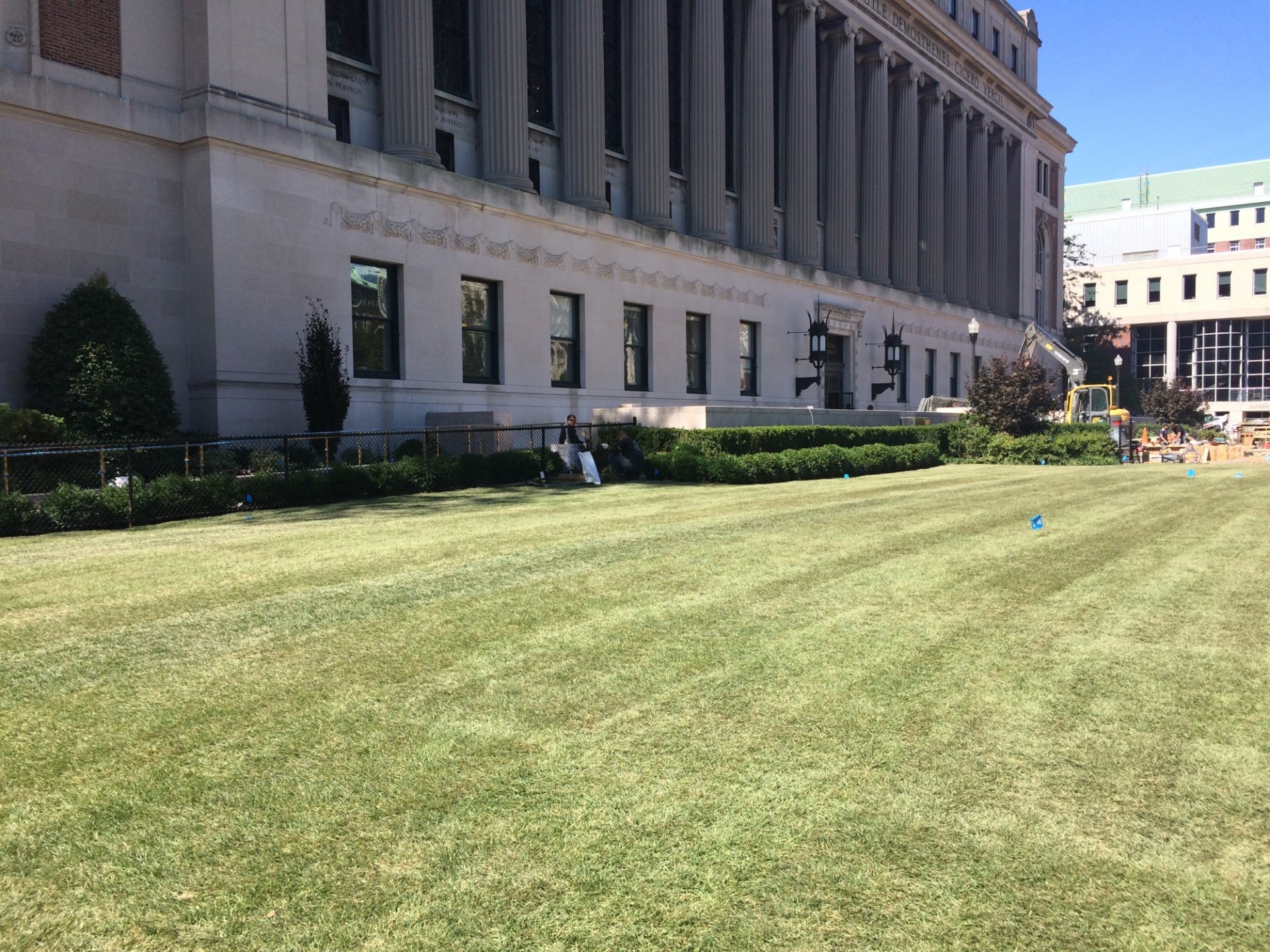 New sod at the southern portion of South Lawn East (Photo from September 1, 2017)