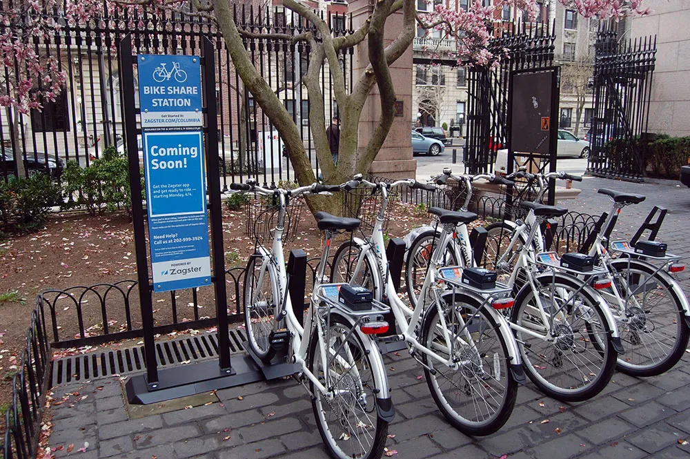 Campus Sustainability