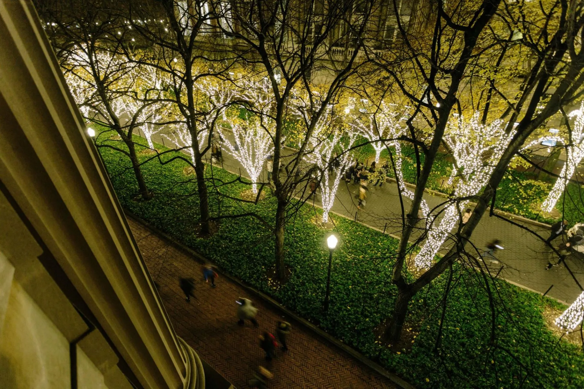 LED lights on college walk from above