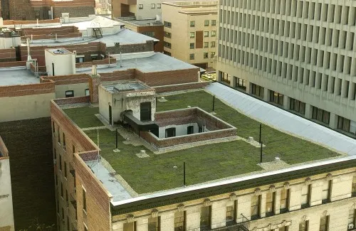 green roof