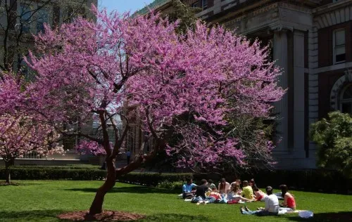 Grounds Management Excellence