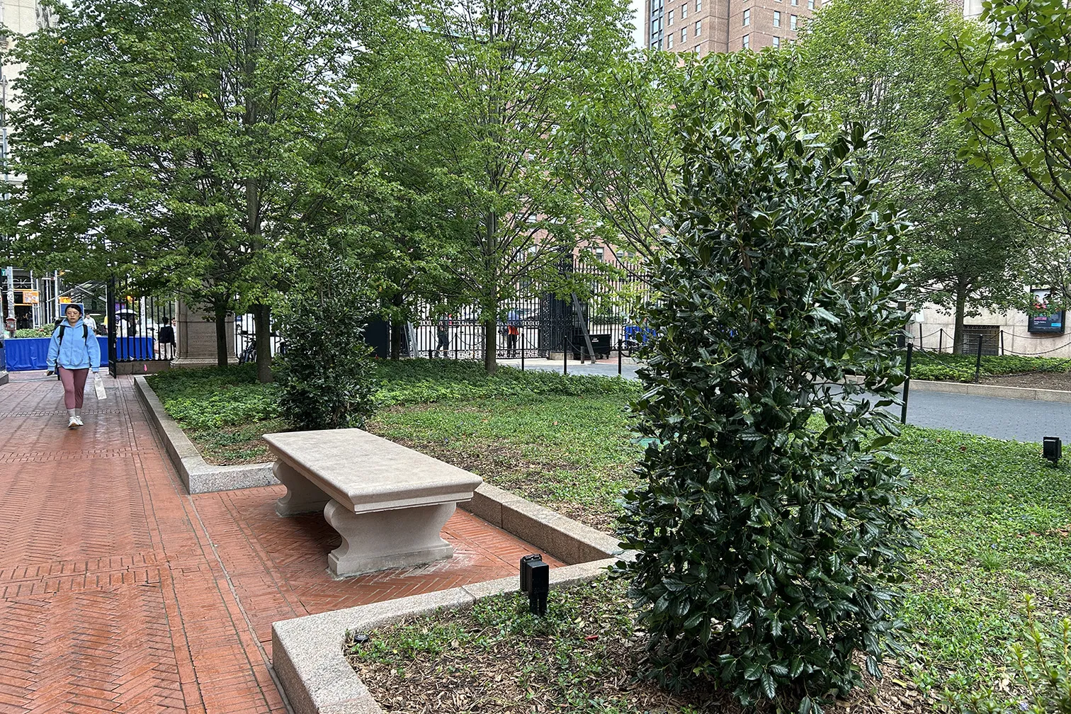 Newly installed benches and seasonal plantings on College Walk with trees in the background.