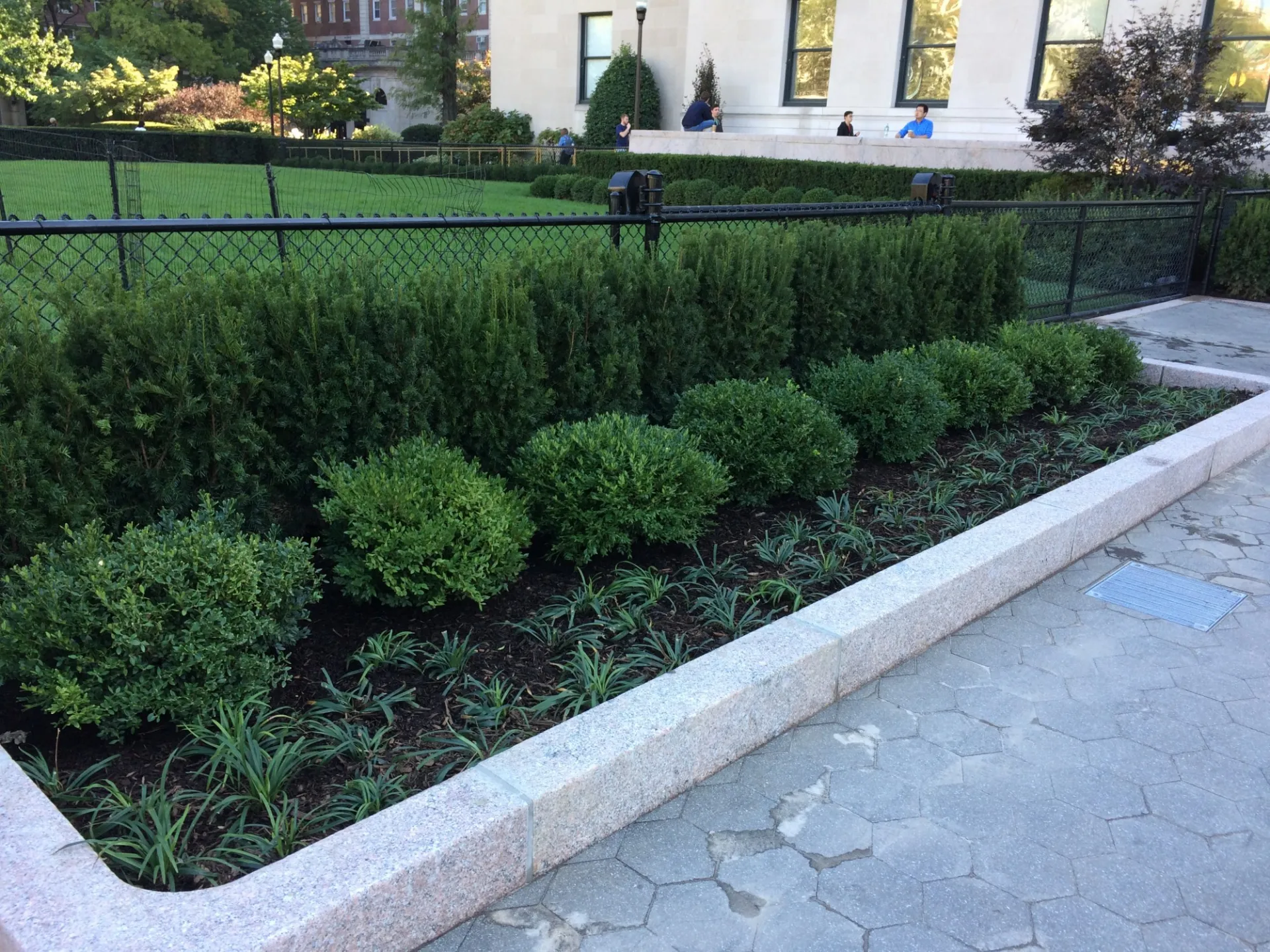 Planting beds on the perimeter of Butler Lawn
