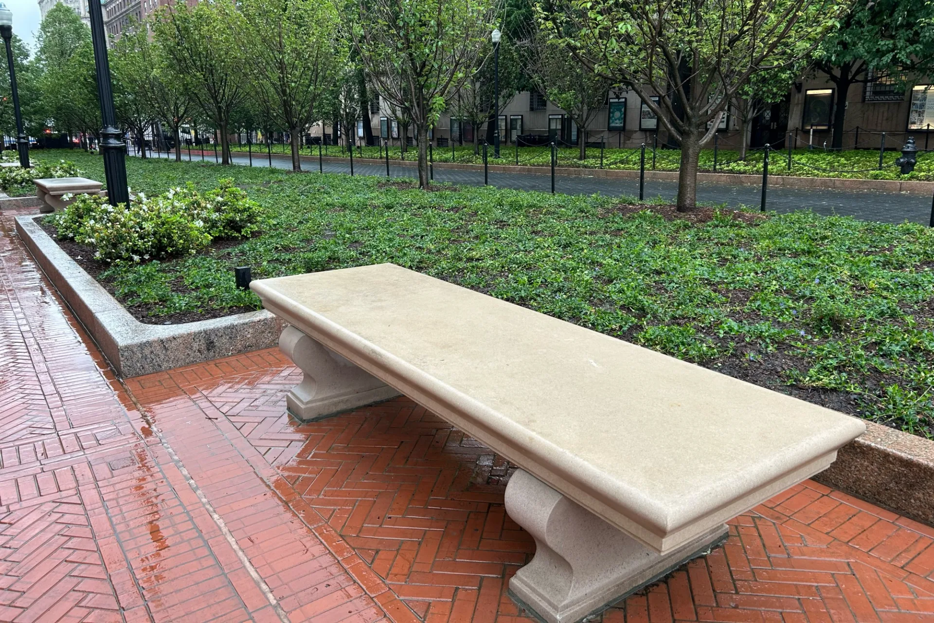 A newly installed bench alongside College Walk near Pulitzer Hall with new plantings alongside.