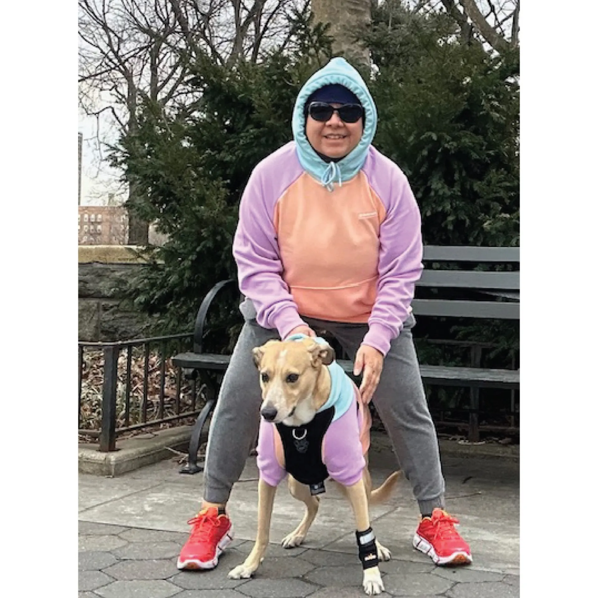 Dog wearing matching sweatshirt with owner