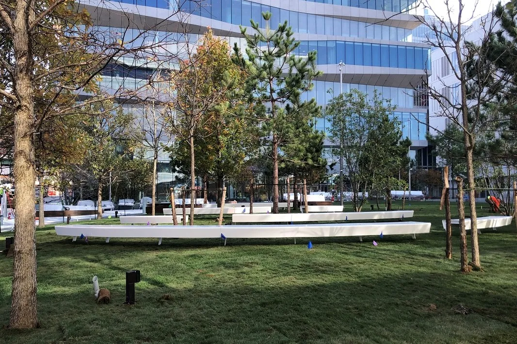 Round, floating benches at The Square, a large green space between the new Columbia Business School buildings.