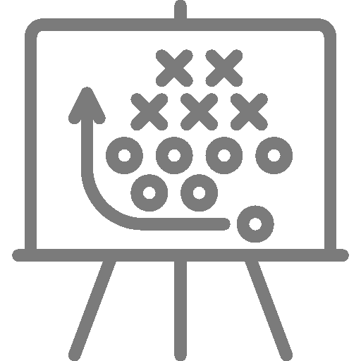 Expert Coaching