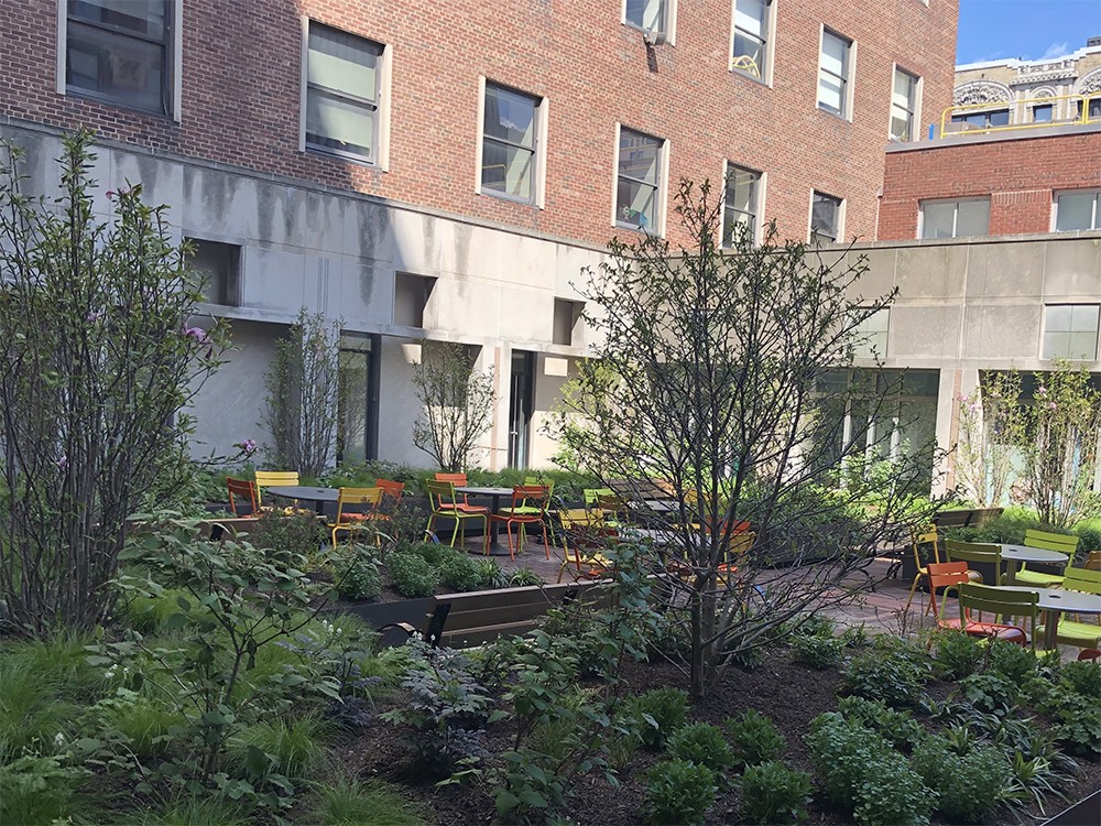 The interior courtyard at the Computer Science Building was revitalized with new landscaping, new perimeter trees, and the installation of new seating areas. The Computer Science Courtyard, filled with trees and seating areas.
