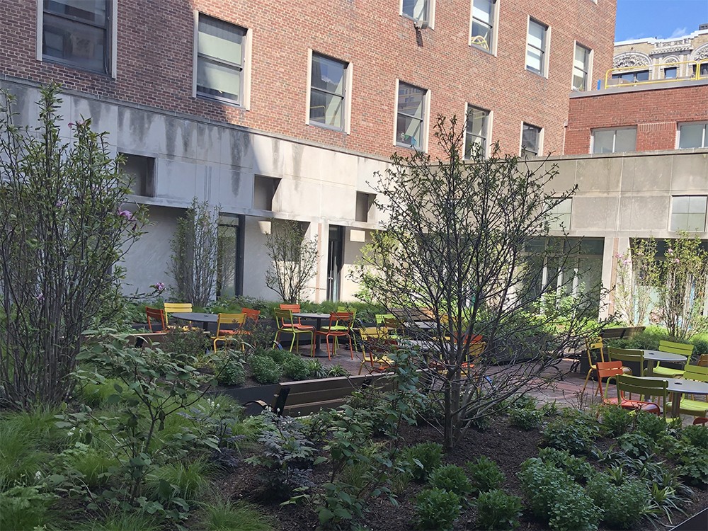 The Computer Science Courtyard, filled with trees and seating areas.