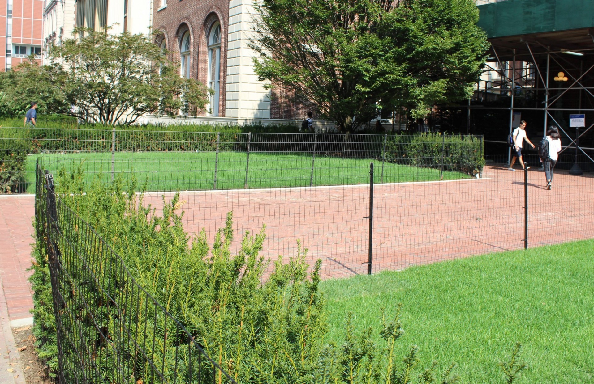 St. Paul’s Chapel lawn: Perimeter shrubs around the lawns in front were removed to create more open and welcoming lawn spaces and building entrances