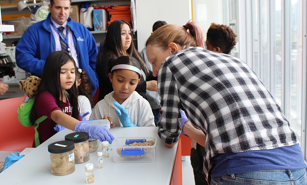 Children touching brain specimens