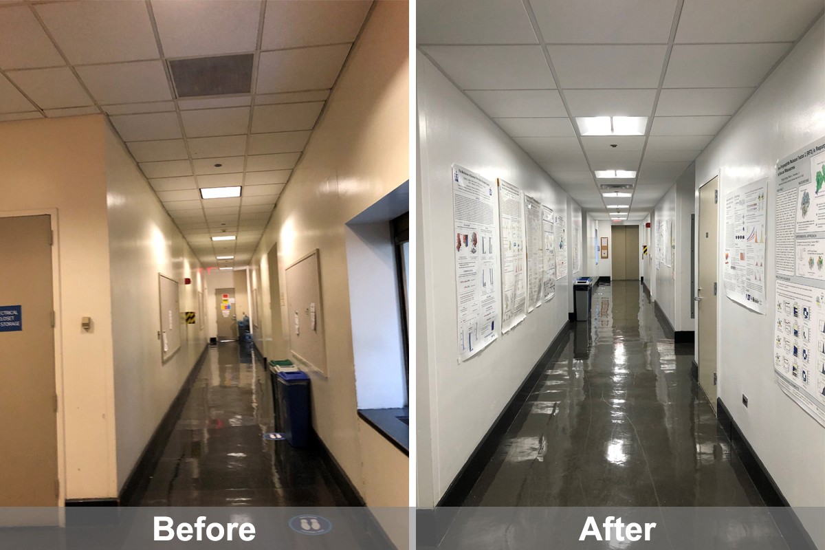 Before and after photos demonstrating the new LED lighting, ceiling tiles and painting in Havemeyer